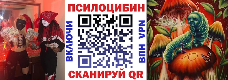 Псилоцибиновые грибы Cubensis Якутск