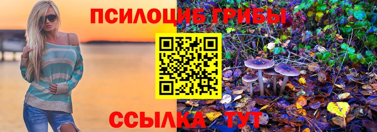 Псилоцибиновые грибы Psilocybine cubensis  Вход с VPN  Якутск  Галлюциногенные грибы ЛСД 